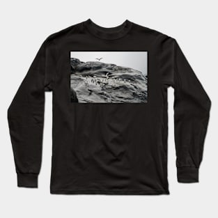 birds at Greenland Long Sleeve T-Shirt